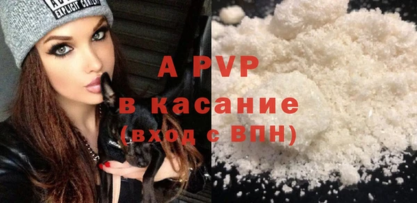 ешки Новозыбков
