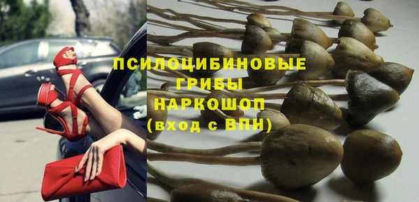 mdma Новодвинск