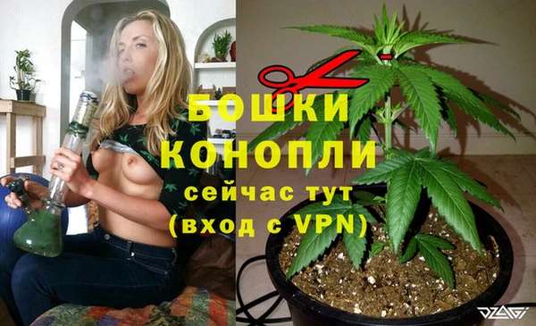 ешки Новозыбков