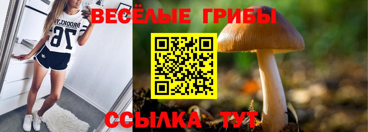 Смоленск  Галлюциногенные грибы Magic Shrooms  Псилоцибиновые грибы прущие грибы  Вход с VPN 