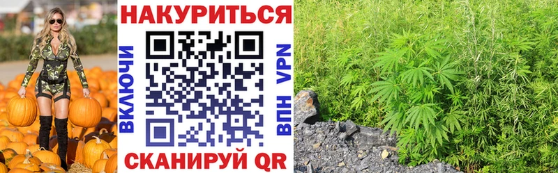 где найти   Смоленск  Каннабис ГИДРОПОН 